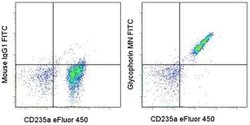 CD235a (Glycophorin A) Monoclonal Antibody (10F7MN), FITC, eBioscience:Antibodies,