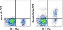 Invitrogen Kappa Light Chain Monoclonal Antibody (TB28-2), FITC, eBioscience
