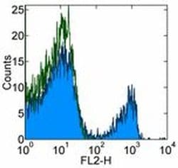 Invitrogen CD8b Monoclonal Antibody (eBio341 (341)), PE, eBioscience 100
