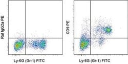Invitrogen CD9 Monoclonal Antibody (eBioKMC8 (KMC8)), PE, eBioscience 50