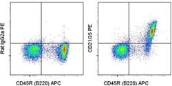 Invitrogen CD21/CD35 Monoclonal Antibody (eBio4E3 (4E3)), PE, eBioscience