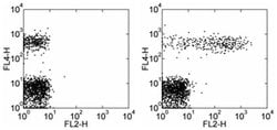 CD23 Monoclonal Antibody (EBVCS2), PE, eBioscience&trade;, Invitrogen&trade; 100 Tests; PE 