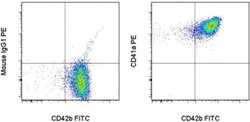 Invitrogen CD41a Monoclonal Antibody (HIP8), PE, eBioscience 25 Tests;