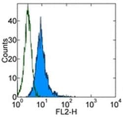 Invitrogen Integrin beta 5 Monoclonal Antibody (KN52), PE, eBioscience