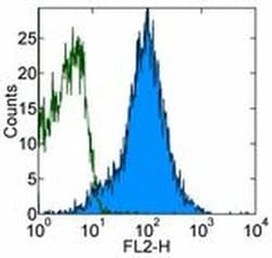 Invitrogen CD54 (ICAM-1) Monoclonal Antibody (YN1/1.7.4), PE, eBioscience