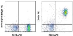 Invitrogen CD66a (CEACAM1) Monoclonal Antibody (CC1), PE, eBioscience 25