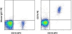 Invitrogen CD74 Monoclonal Antibody (5-329), PE, eBioscience 100 Tests;