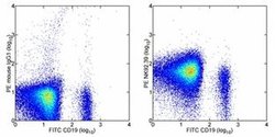 Invitrogen CD96 (TACTILE) Monoclonal Antibody (NK92.39), PE, eBioscience