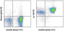 Invitrogen Ly-108 Monoclonal Antibody (eBio13G3-19D (13G3-19D)), PE, eBioscience