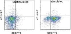 Invitrogen CD152 (CTLA-4) Monoclonal Antibody (WKH203), PE, eBioscience