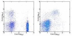 Invitrogen CD182 (CXCR2) Monoclonal Antibody (eBio5E8-C7-F10 (5E8-C7-F10)),