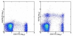 Invitrogen CD319 (CRACC) Monoclonal Antibody (162), PE, eBioscience 100