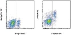 Invitrogen CD304 (Neuropilin-1) Monoclonal Antibody (3DS304M), PE, eBioscience