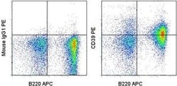 Invitrogen CD39 Monoclonal Antibody (5F2), PE, eBioscience 25 &mu;g; PE:Antibodies,