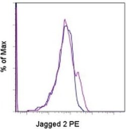Invitrogen Jagged 2 Monoclonal Antibody (HMJ2-1), PE, eBioscience 25 &mu;g;