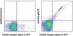 Invitrogen IgM Monoclonal Antibody (RM-7B4), PE, eBioscience 100 &mu;g;