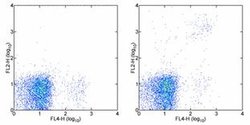 Invitrogen Ly-49A/D Monoclonal Antibody (eBio12A8 (12A8)), PE, eBioscience