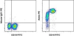 Invitrogen&trade;&nbsp;Aiolos Monoclonal Antibody (8B2), PE, eBioscience&trade;
