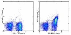 Invitrogen CD267 (TACI) Monoclonal Antibody (ebio8F10-3), PE, eBioscience
