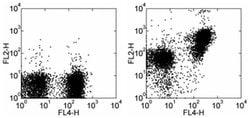Invitrogen CD272 (BTLA) Monoclonal Antibody (6F7), PE, eBioscience 100