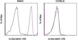 Invitrogen MHC Class I (H-2Kd) Monoclonal Antibody (SF1-1.1.1), PE, eBioscience