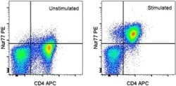 Invitrogen Nur77 Monoclonal Antibody (12.14), PE, eBioscience , Invitrogen