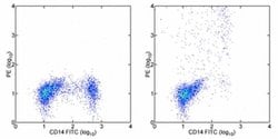 Invitrogen IL-12/IL-23 p40 Monoclonal Antibody (eBioHP40 (HP40, HP-40)),