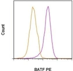 Invitrogen BATF Monoclonal Antibody (MBM7C7), PE, eBioscience:Antibodies:Primary