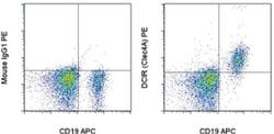 Invitrogen CD367 (Clec4A, DCIR) Monoclonal Antibody (9E8), PE, eBioscience