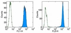 Invitrogen PCNA Monoclonal Antibody (PC10 (3F81)), PE, eBioscience 100