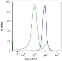 Invitrogen PAX5 Monoclonal Antibody (1H9), PE, eBioscience 25 &mu;g; PE:Antibodies,