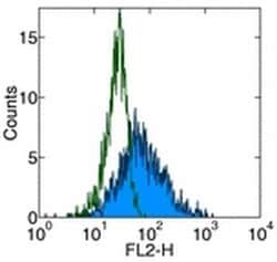 CD178 (Fas Ligand) Monoclonal Antibody (NOK-1), PE, eBioscience , Invitrogen:Antibodies:Primary