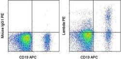 Invitrogen Lambda light chain Monoclonal Antibody (1-155-2), PE, eBioscience