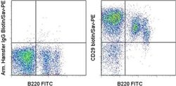 Invitrogen CD29 (Integrin beta 1) Monoclonal Antibody (eBioHMb1-1 (HMb1-1)),