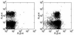 Invitrogen CD100 (SEMA4D) Monoclonal Antibody (BMA12 (BMA-12)), Biotin,