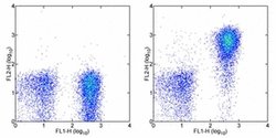 Invitrogen CD127 Monoclonal Antibody (eBioRDR5), Biotin, eBioscience 100