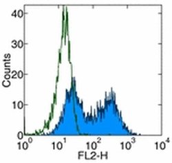 CD137 (4-1BB) Monoclonal Antibody (17B5), Biotin, eBioscience:Antibodies,