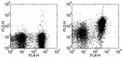 CD150 Monoclonal Antibody (9D1), Biotin, eBioscience:Antibodies, Monoclonal