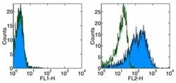 Invitrogen CD137 Ligand (4-1BB Ligand) Monoclonal Antibody (TKS-1), Biotin,