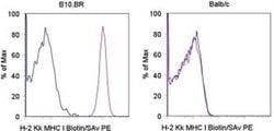 Invitrogen MHC Class I (H-2Kk) Monoclonal Antibody (AF3-12.1.3), Biotin,