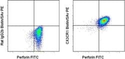 Invitrogen CX3CR1 Monoclonal Antibody (2A9-1), Biotin, eBioscience:Antibodies:Primary