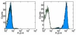Invitrogen&trade;&nbsp;CD254 (RANK Ligand) Monoclonal Antibody (MIH24), Biotin, eBioscience&trade;
