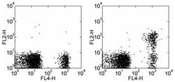 Invitrogen CD267 (TACI) Monoclonal Antibody (11H3), Biotin, eBioscience