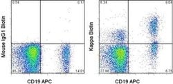 Invitrogen Kappa Light Chain Monoclonal Antibody (TB28-2), Biotin, eBioscience