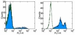 Invitrogen CD16 Monoclonal Antibody (eBioCB16 (CB16)), eBioscience 100