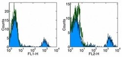 Invitrogen CD20 Monoclonal Antibody (2H7), eBioscience 100 &mu;g; Unconjugated:Antibodies,