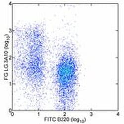 Invitrogen CD27 Monoclonal Antibody (LG.3A10), eBioscience 100 &mu;g; Unconjugated:Antibodies,
