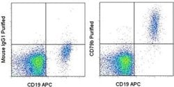 Invitrogen CD79b Monoclonal Antibody (CB3-1), eBioscience , Invitrogen