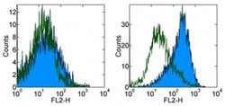 Invitrogen CD83 Monoclonal Antibody (Michel-17 (Michel17)), eBioscience
