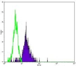 Invitrogen CD86 (B7-2) Monoclonal Antibody (IT2.2), eBioscience 100 &mu;g;